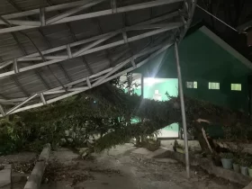 pohon tumbang di ULM