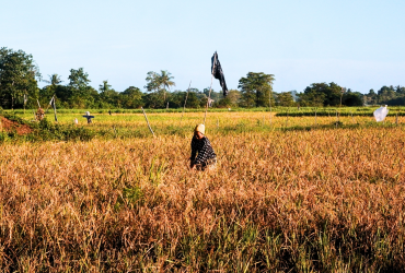 sumber foto LPM INTR-O FISIP ULM